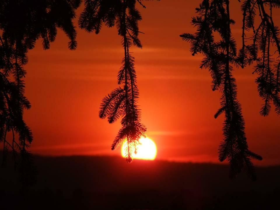 Podere Val Di Gallo Poggibonsi Zewnętrze zdjęcie